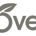 Overleaf与AI